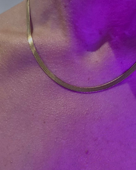 Collier | Since