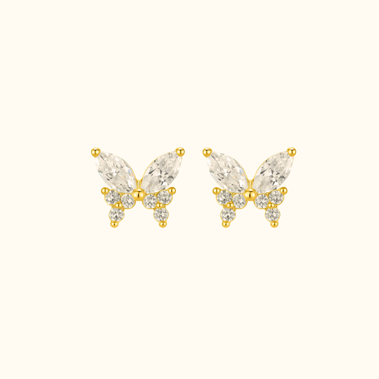 Puces d'oreilles | Eden