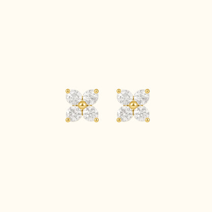 Puces d’oreilles | Insolente