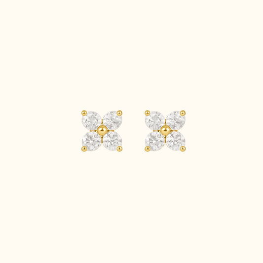 Puces d’oreilles | Insolente