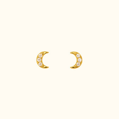 Puces d’oreilles | Luna