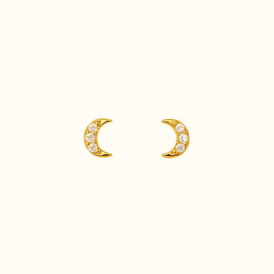 Puces d’oreilles | Luna
